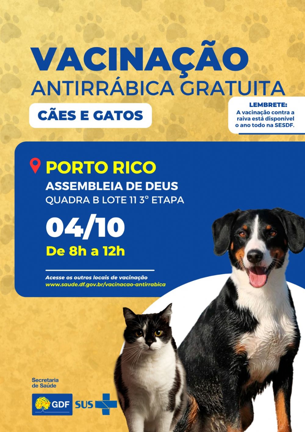 Vacinação antirrábica gratuita para cães e gatos acontece em Porto Rico neste fim de semana